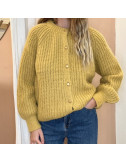 Pull Hervé